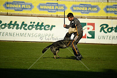 Qira van Arne`s Hoeve